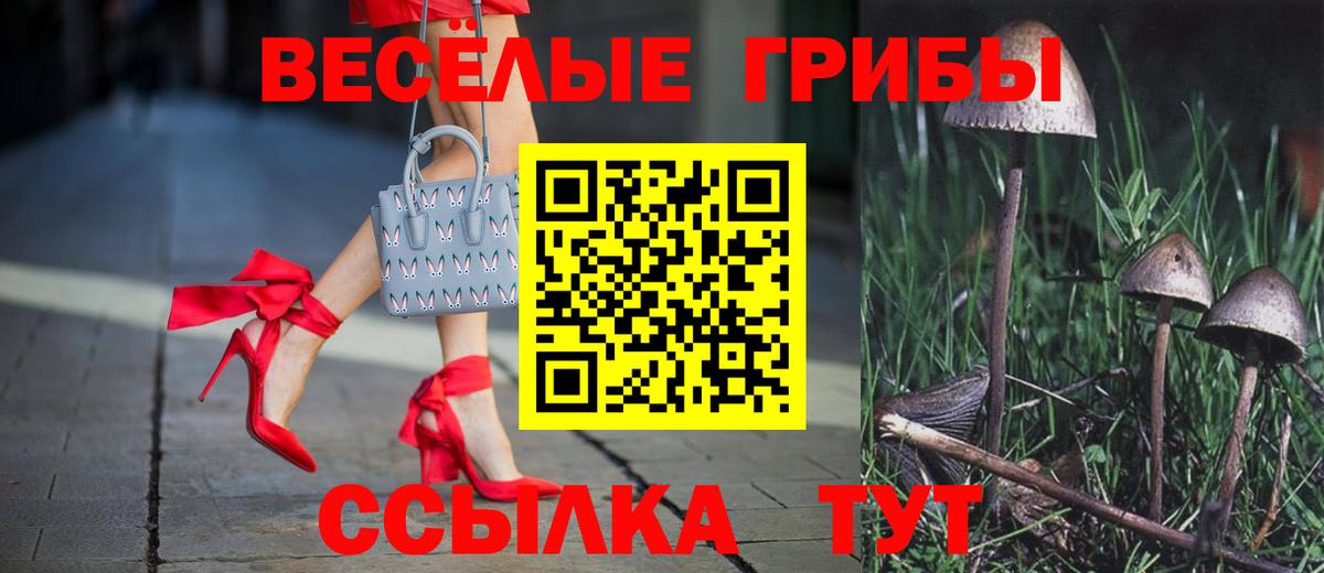 Псилоцибиновые грибы прущие грибы  Псилоцибиновые грибы Psilocybine cubensis  Йошкар-Ола  наркота  Вход с VPN 